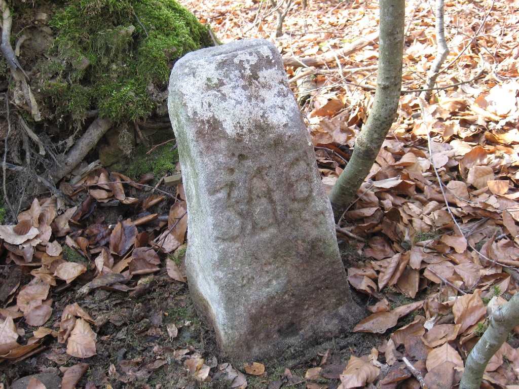 Foto: Peter Göbell © denksteine-schoenbuch.de Bild1